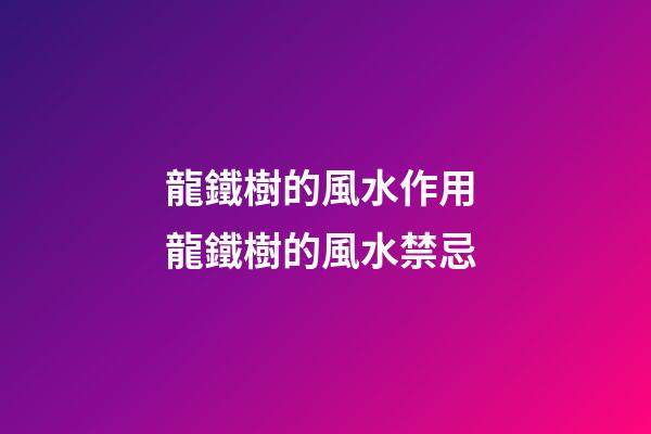 龍鐵樹的風水作用 龍鐵樹的風水禁忌